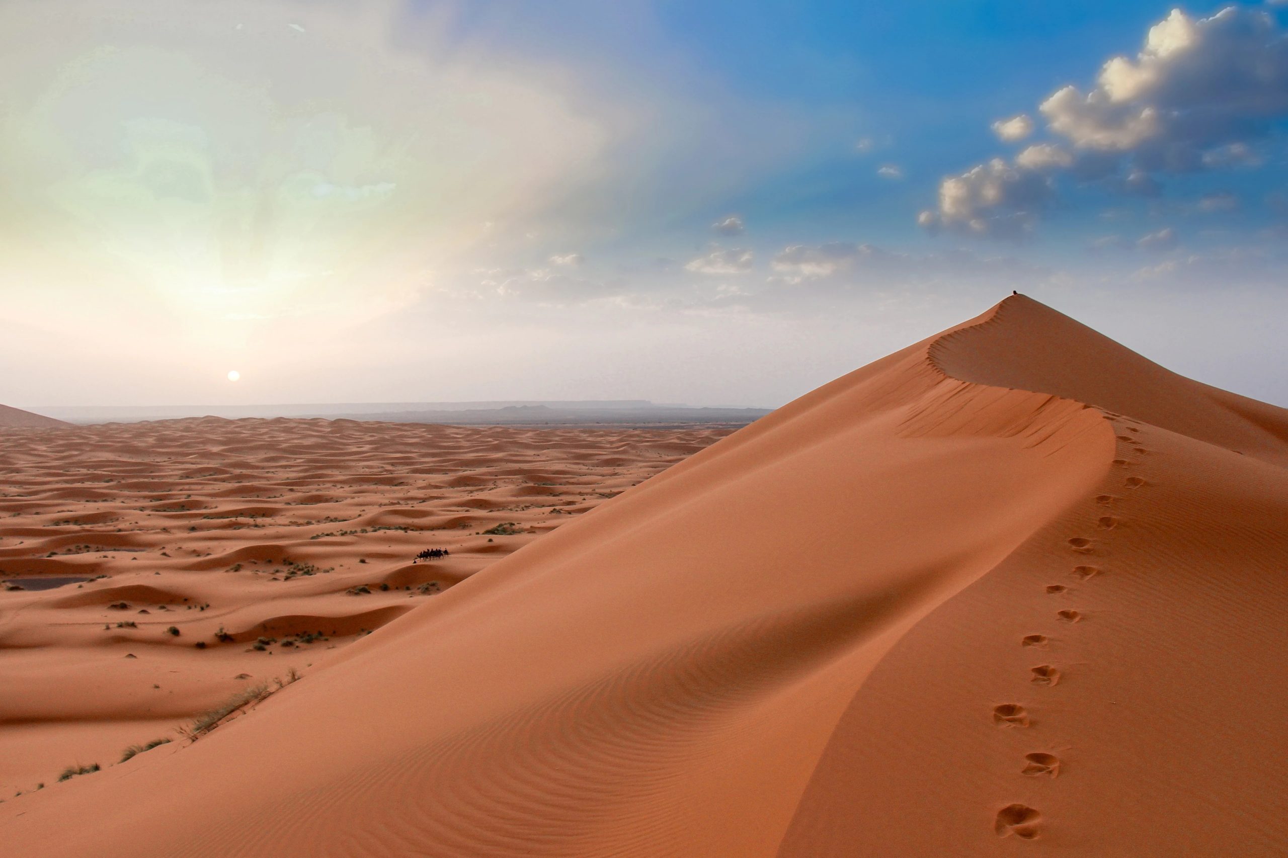 Desert Serenity in 3 Days: Marrakech – Merzouga – Fez 🌵